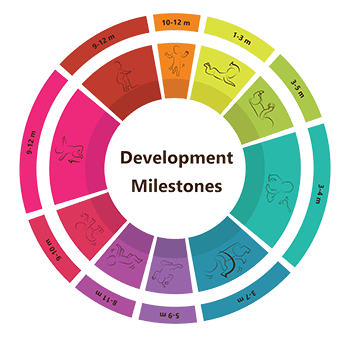 Developmental Therapy - Milestones